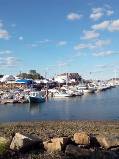 Dorchester Shores Reservation - Dorchester, MA