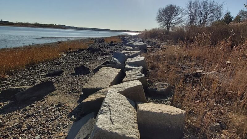 Dorchester Shores Reservation - Dorchester, MA