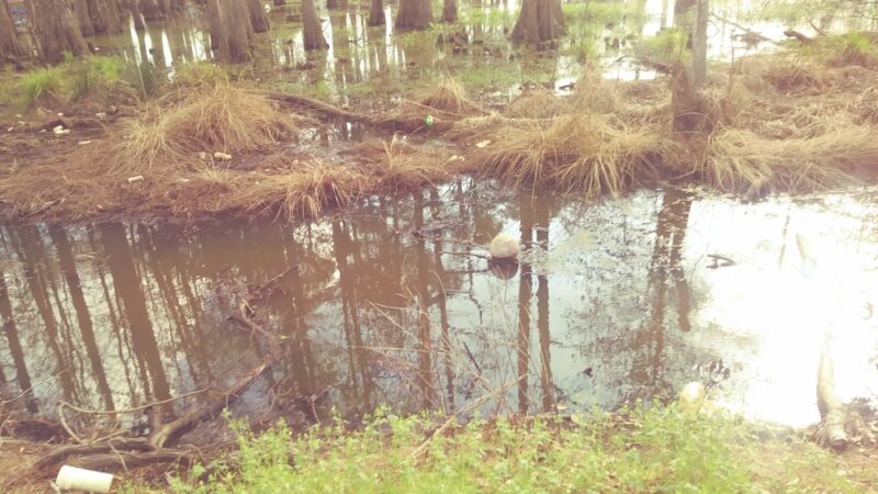 Wheeler Park - Douglas, GA