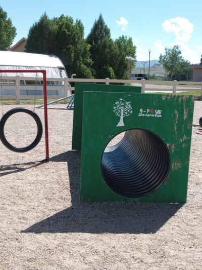 4 Paws Dog Agility Park - Douglas, WY