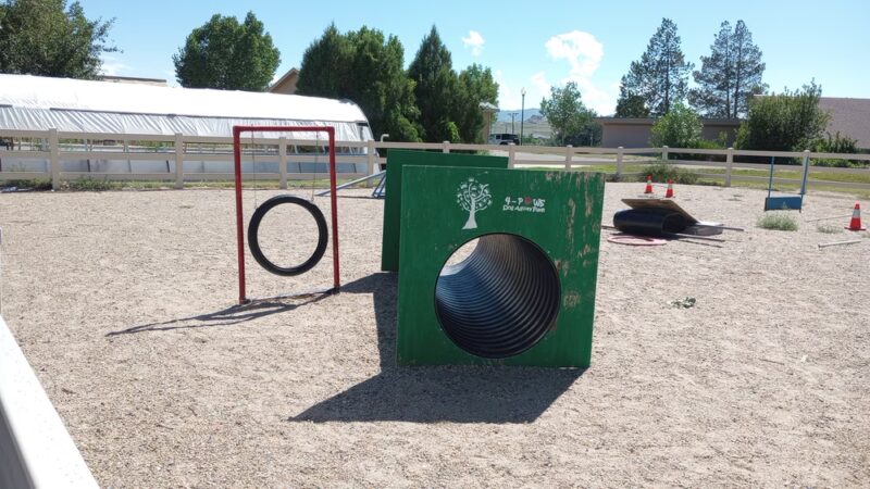 4 Paws Dog Agility Park - Douglas, WY