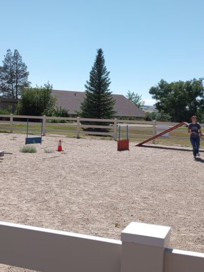 4 Paws Dog Agility Park - Douglas, WY