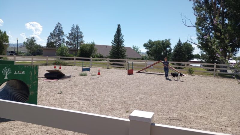 4 Paws Dog Agility Park - Douglas, WY