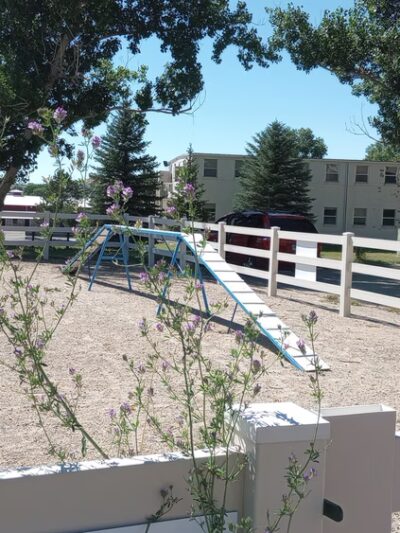 4 Paws Dog Agility Park - Douglas, WY