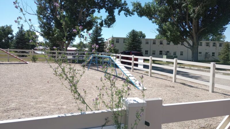 4 Paws Dog Agility Park - Douglas, WY
