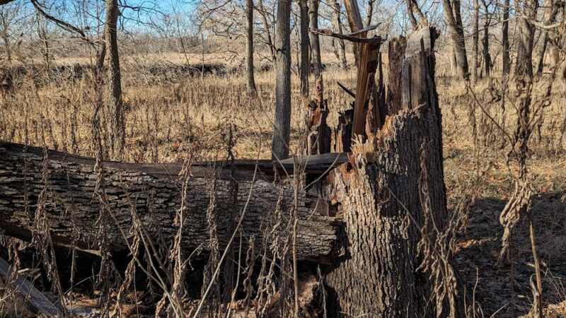 Douglass City Park - Douglass, KS
