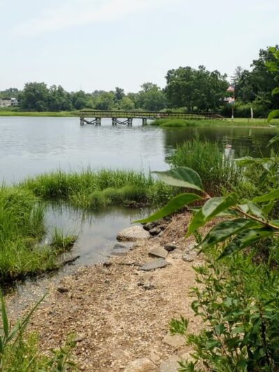 Udall's Cove Park Preserve - Douglaston, NY
