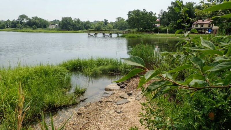 Udall's Cove Park Preserve - Douglaston, NY