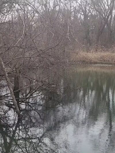 Udall's Cove Park Preserve - Douglaston, NY