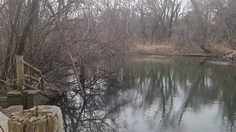 Udall's Cove Park Preserve - Douglaston, NY