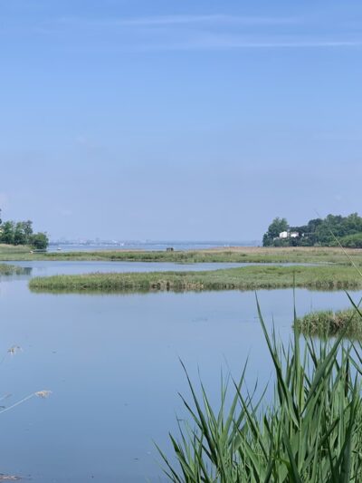 Udall's Cove Park Preserve - Douglaston, NY