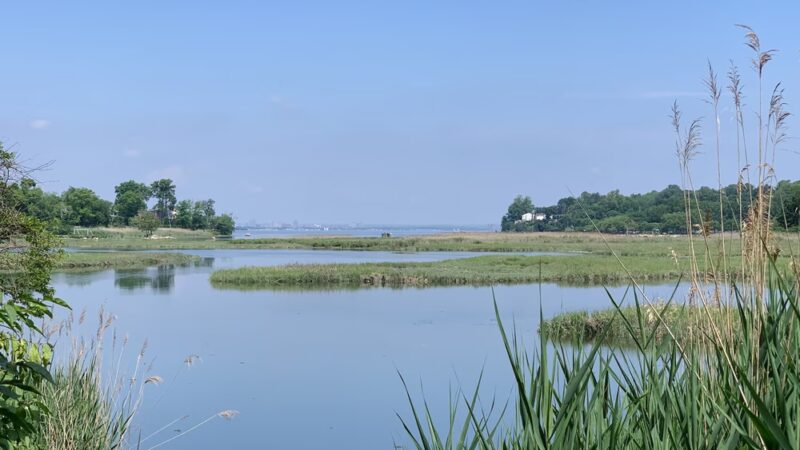 Udall's Cove Park Preserve - Douglaston, NY