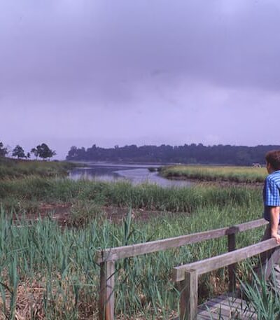 Udall's Cove Park Preserve - Douglaston, NY