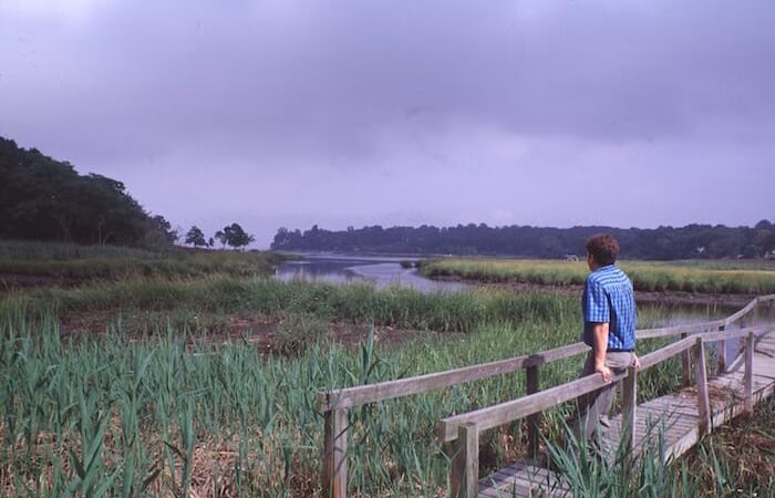 Udall's Cove Park Preserve - Douglaston, NY