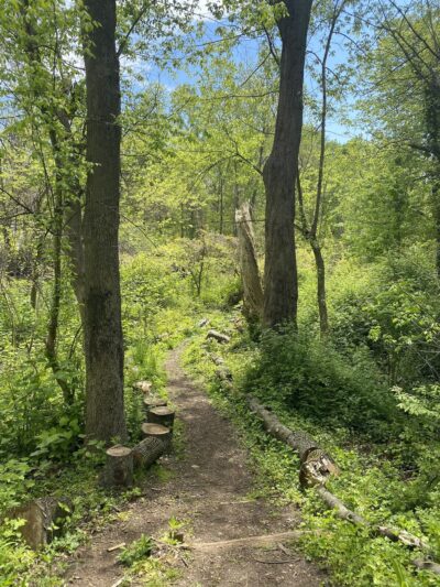 Udall's Cove Park Preserve - Douglaston, NY
