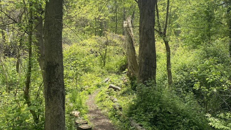 Udall's Cove Park Preserve - Douglaston, NY