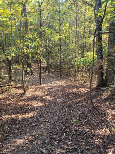 Dog River Trails - Douglasville, GA