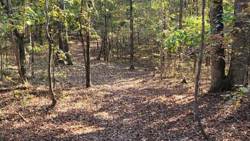 Dog River Trails - Douglasville, GA