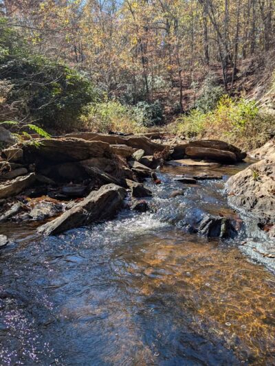 Dog River Trails - Douglasville, GA