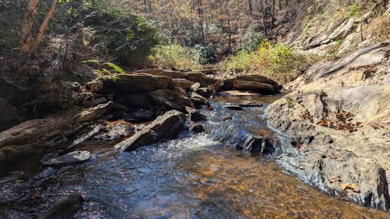 Dog River Trails - Douglasville, GA