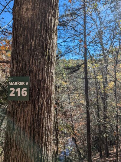 Dog River Trails - Douglasville, GA