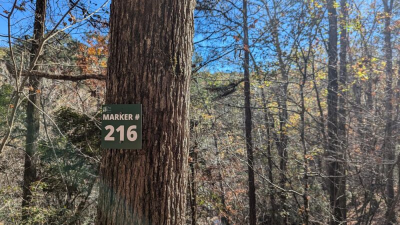Dog River Trails - Douglasville, GA