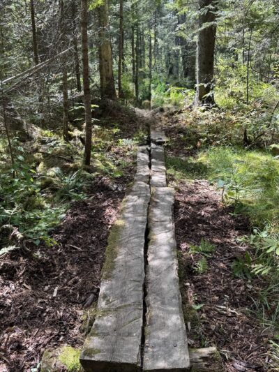 Law Farm Nature Trails - Dover-Foxcroft, ME