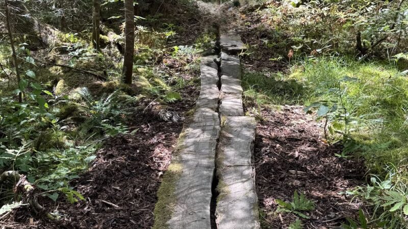 Law Farm Nature Trails - Dover-Foxcroft, ME