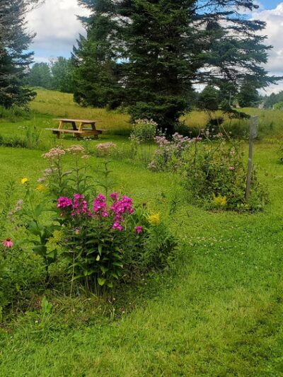 Law Farm Nature Trails - Dover-Foxcroft, ME