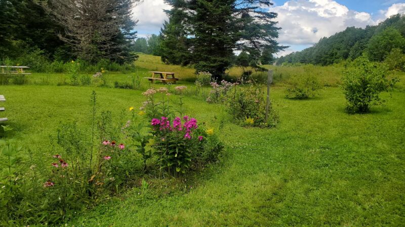 Law Farm Nature Trails - Dover-Foxcroft, ME