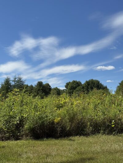 Law Farm Nature Trails - Dover-Foxcroft, ME