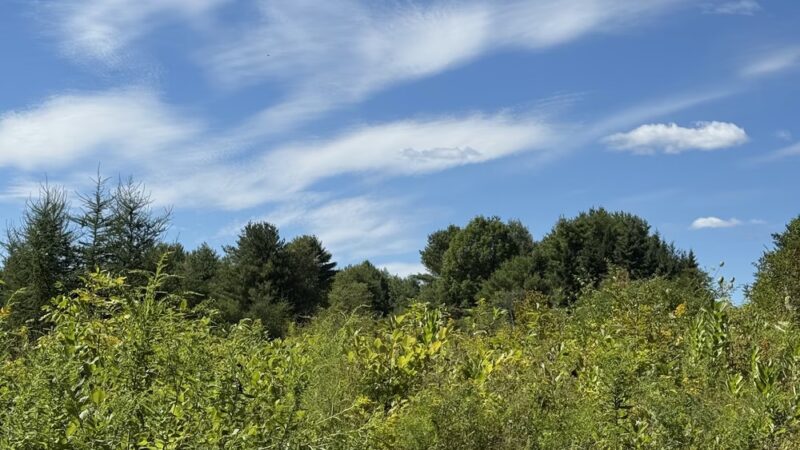 Law Farm Nature Trails - Dover-Foxcroft, ME