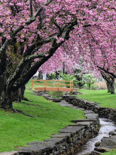 Hurd Park - Dover, NJ