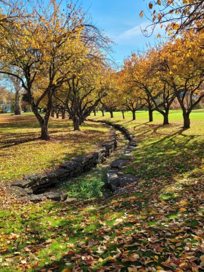 Hurd Park - Dover, NJ