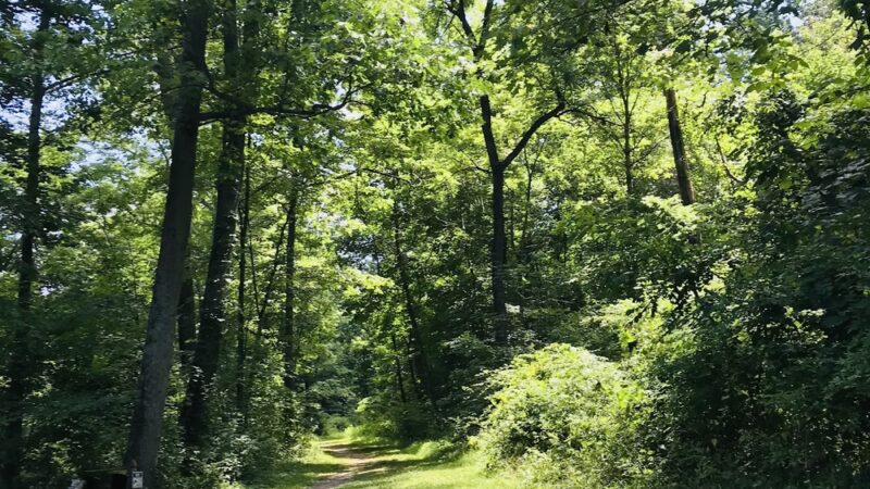 Brookside Park - Dover, PA