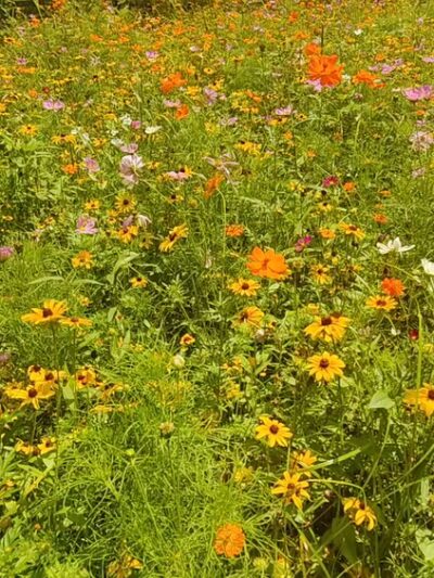 Dover Community Park - Dover, PA