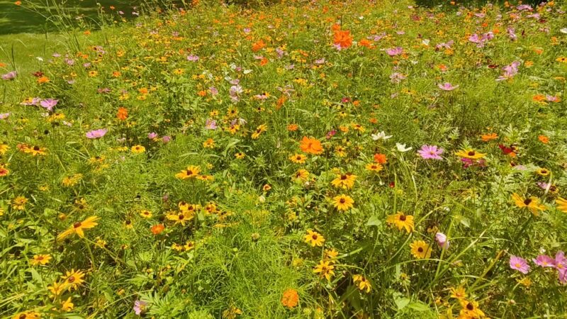 Dover Community Park - Dover, PA
