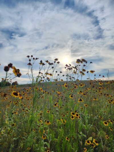 Eagle View Park - Dover, PA