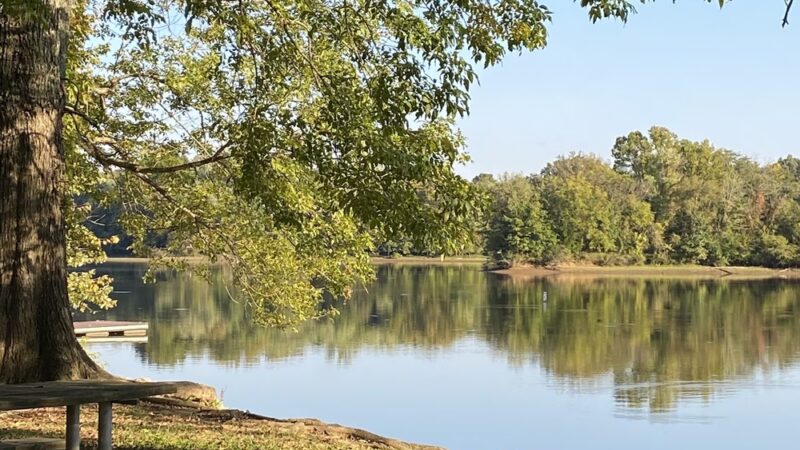 Dyer Creek Boat Ramp - Dover, TN
