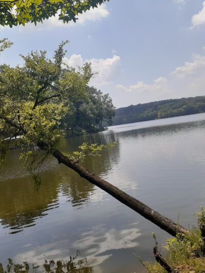 Lick Creek Recreation Area - Dover, TN
