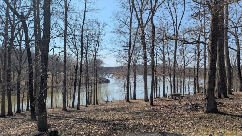 Lick Creek Recreation Area - Dover, TN