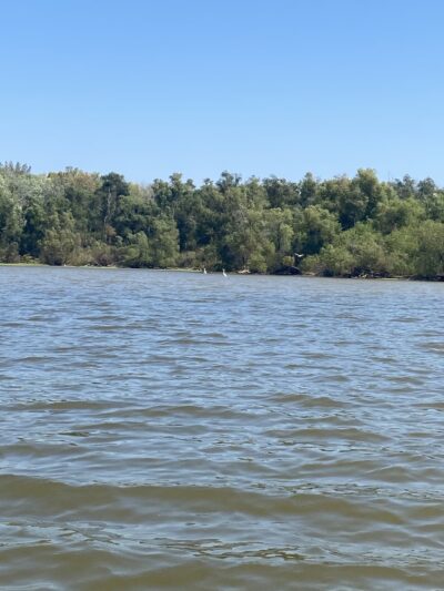 Lick Creek Recreation Area - Dover, TN