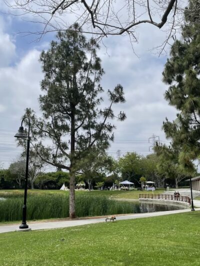 Wilderness Park - Downey, CA