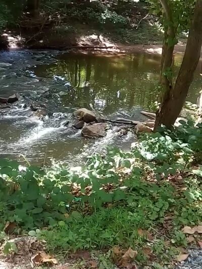 Dowlin Forge Park - Downingtown, PA