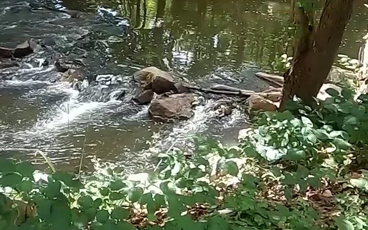 Dowlin Forge Park - Downingtown, PA