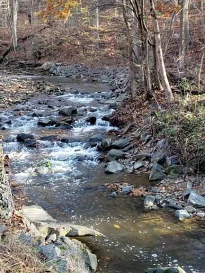 Jones Pond Park - Downingtown, PA