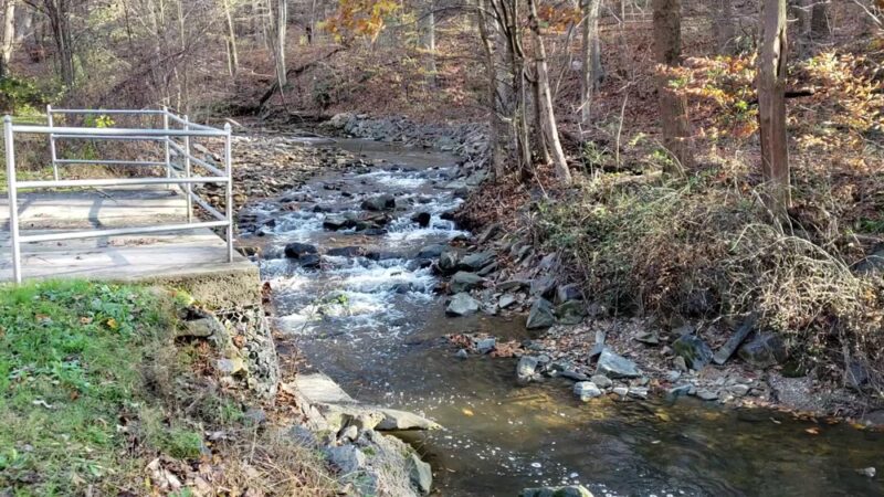 Jones Pond Park - Downingtown, PA