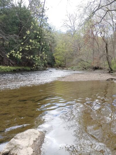 Jones Pond Park - Downingtown, PA