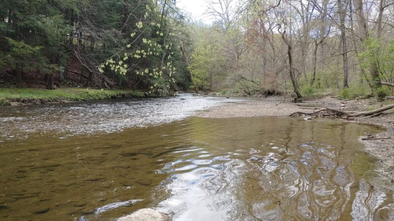 Jones Pond Park - Downingtown, PA
