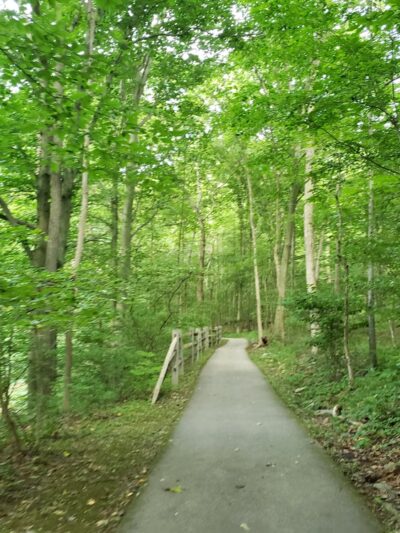 Jones Pond Park - Downingtown, PA